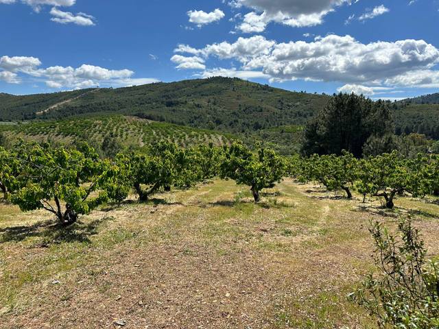 Finca rústica en Venta en Torrecilla de los Ángeles