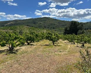 Finca rústica en venda en Torrecilla de los Ángeles