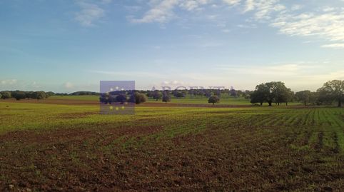 Foto 5 de Casa o xalet en venda a Oeste, Mérida