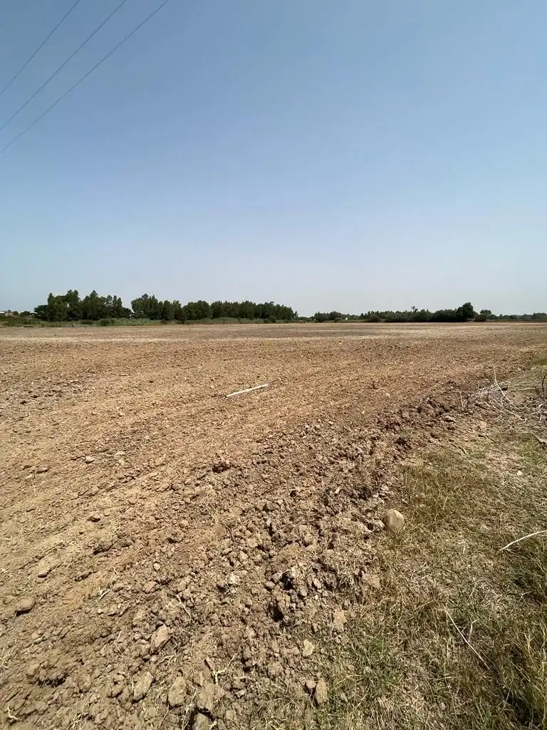 Terrenys i solars en venda a Carretera Cortes 4, imagen 2