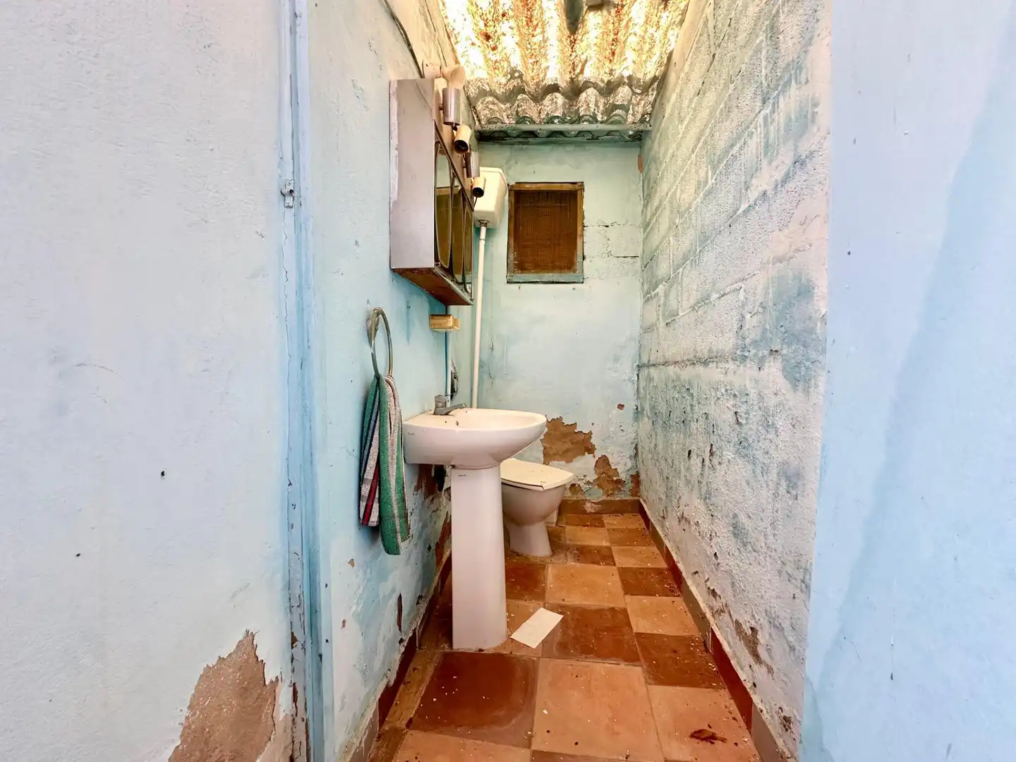 Bany de Casa o xalet en venda en Carlet amb Jardí privat, Terrassa i Traster
