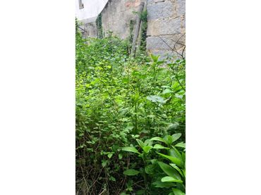 House with garden for sale in Couto