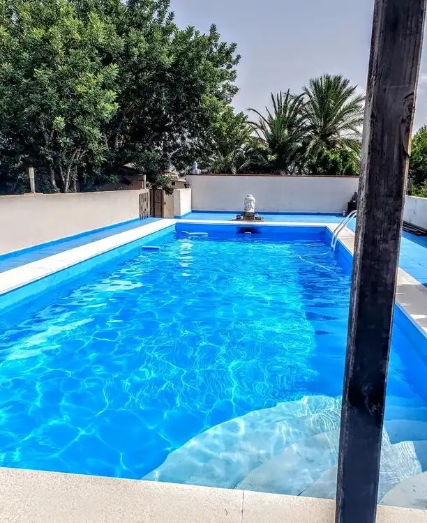 Piscina de Casa o chalet en venta en Alberic con Piscina