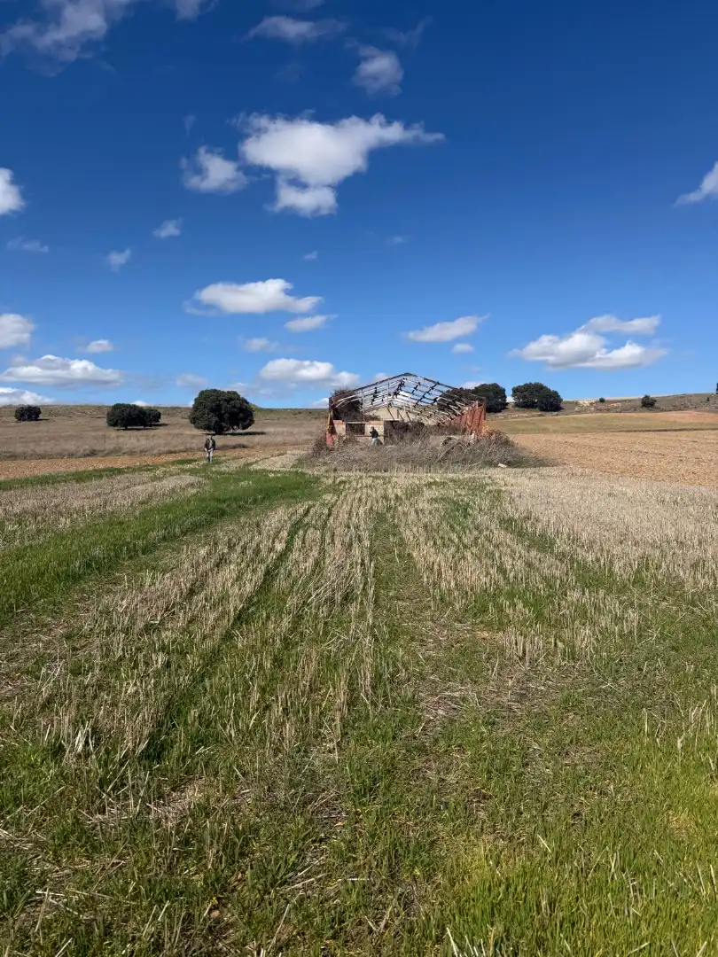 Terreny industrial en venda en Caballar