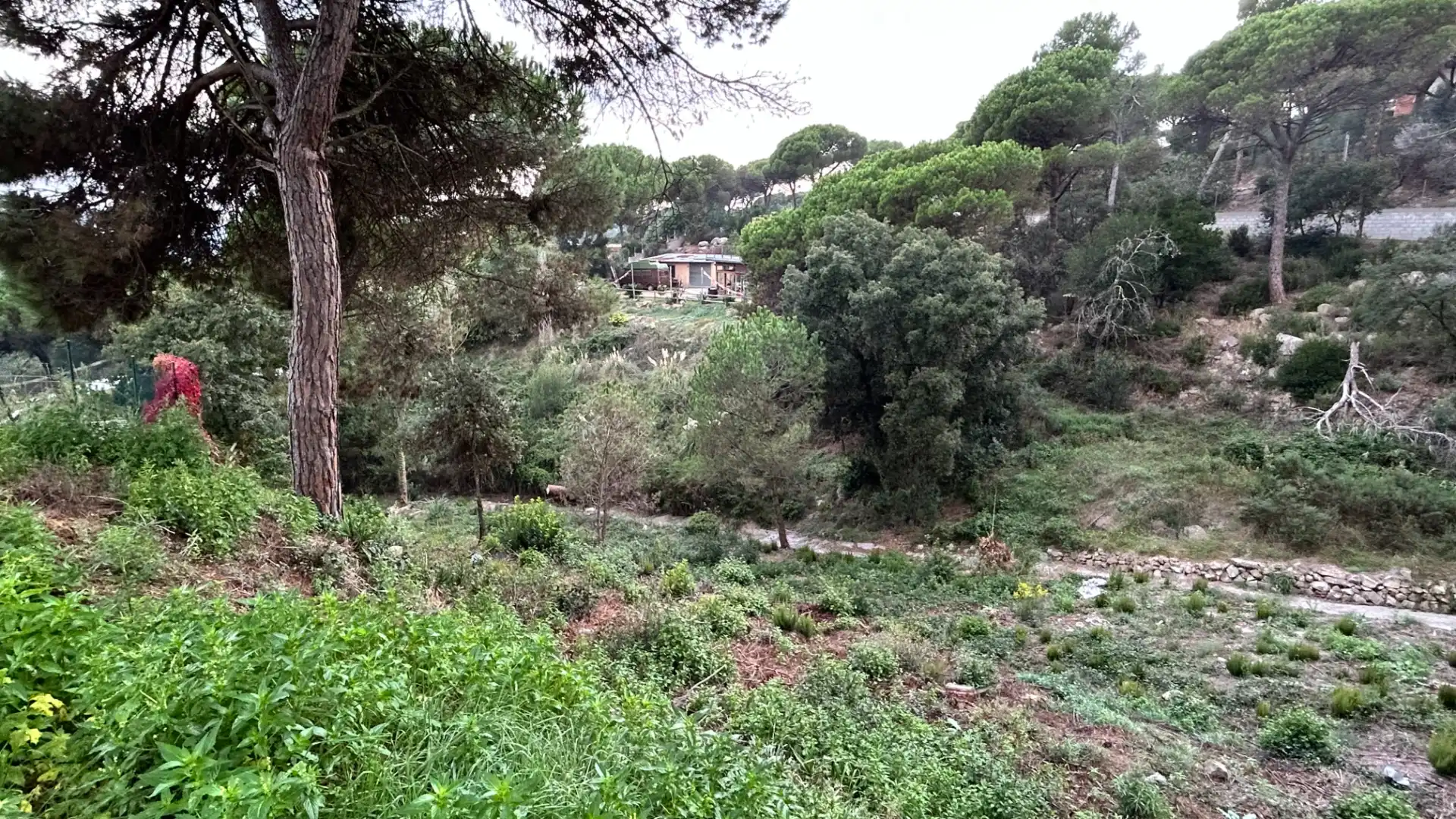 Terreno residencial en venta en Carrer Roure, imagen 2