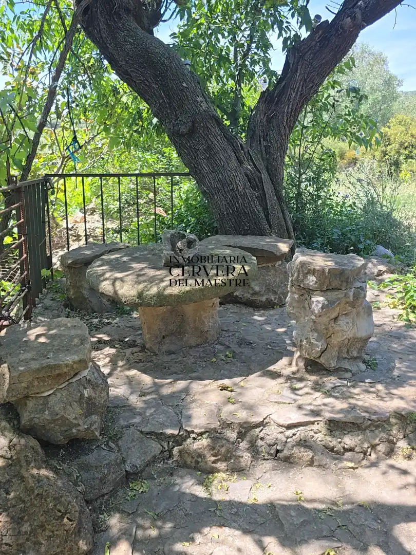 Garden of Houses for sale in La Torre d'en Besora