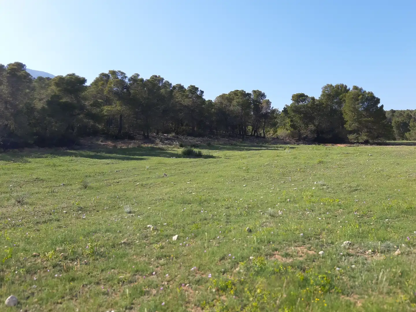 Terrain résidentiel à vendre à Pedanías Norte, imagen 3
