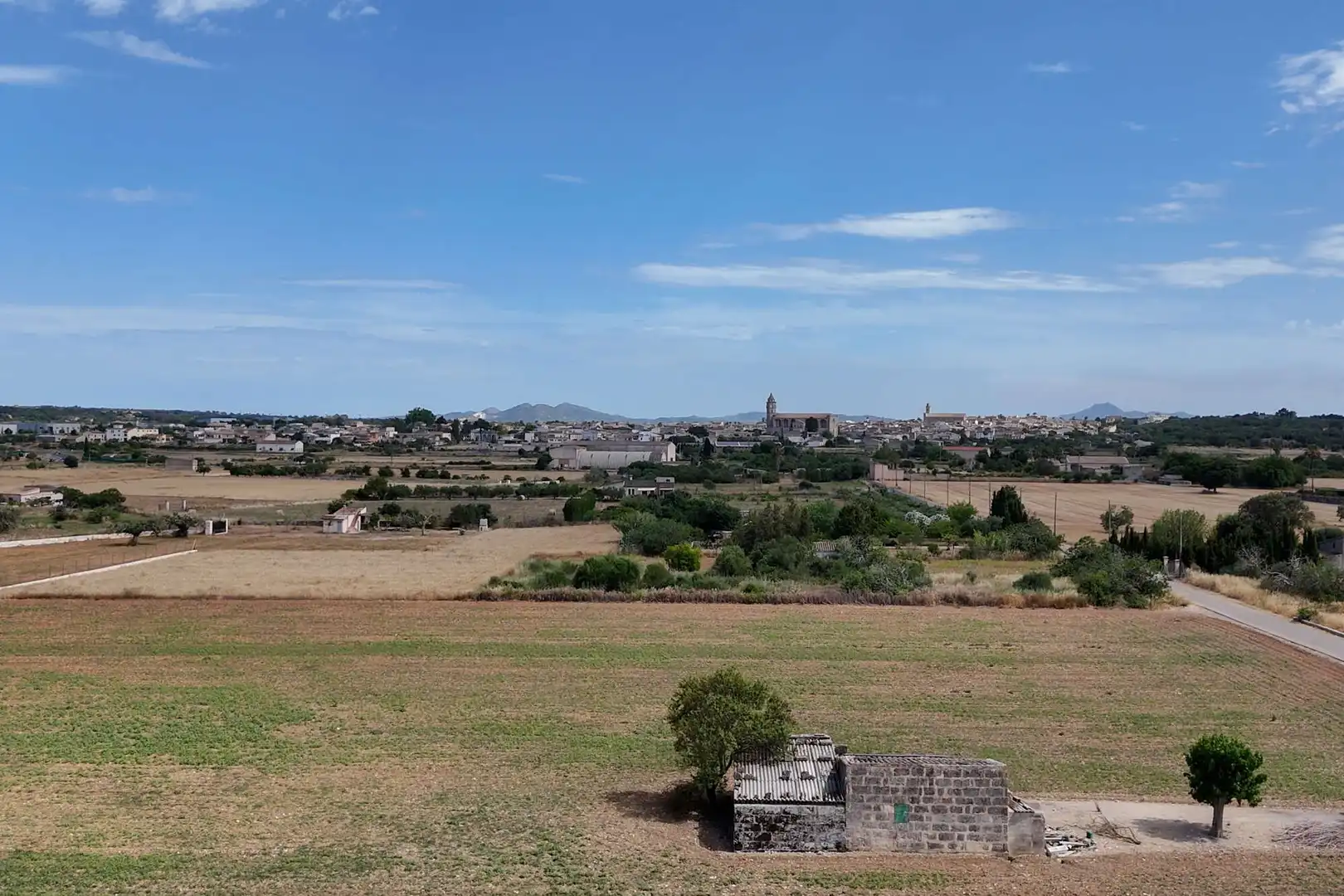 Terreny rústic en venda a Petra, imagen 13