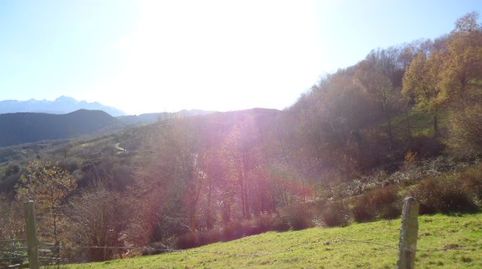PARCELAS A 10 MIN. DE CANGAS DE ONÍS, immagine 4