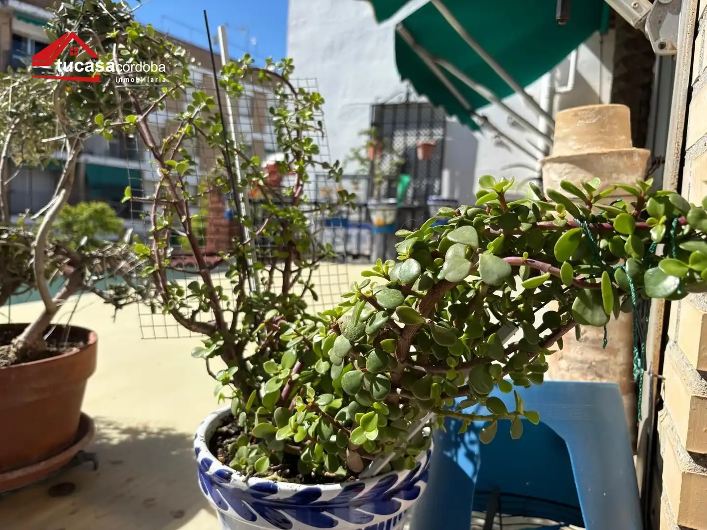 Terraza de Casa o chalet en venta en Córdoba con Aire acondicionado, Terraza y Trastero