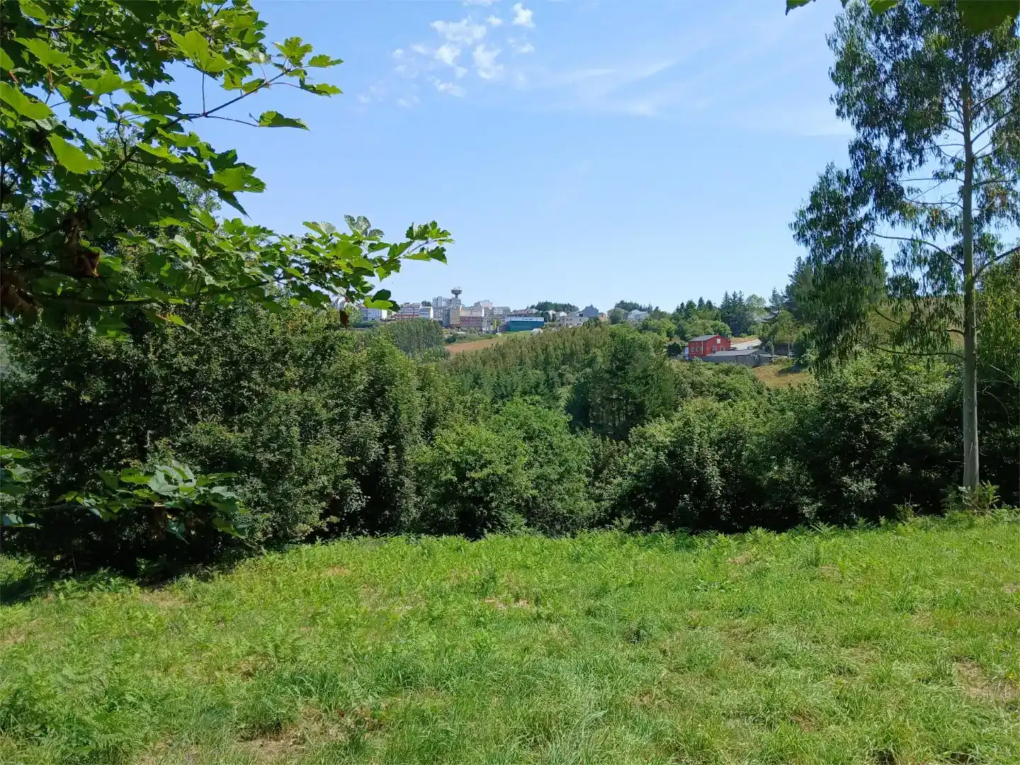Finca rústica en venda en A Fonsagrada 