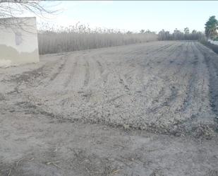 Industrial land for sale in San Fulgencio