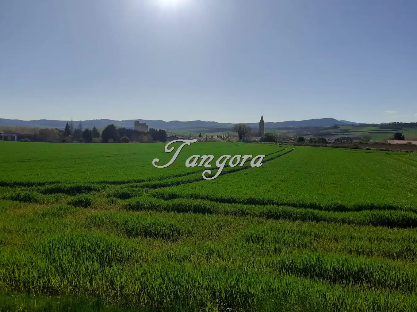 Industrial land for sale in La Puebla de Arganzón 