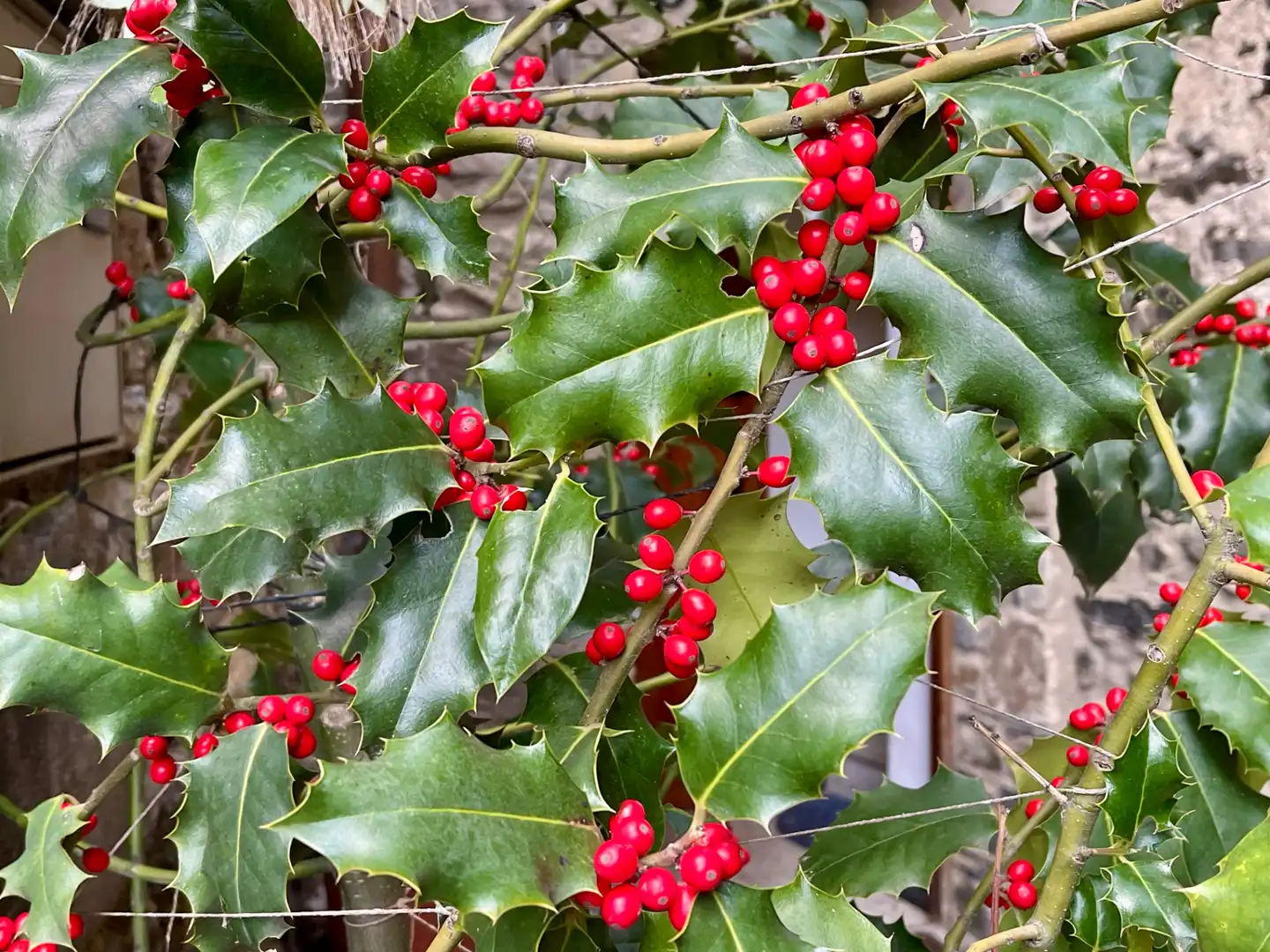 Jardín de Finca rústica en venta en Setcases con Calefacción, Amueblado y Horno