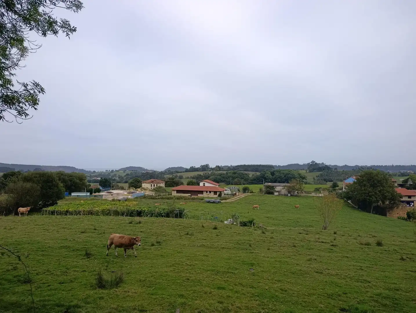 Rustikales Grundstück zum Verkauf in Carretera Piñera (Noriega) 0, imagen 61