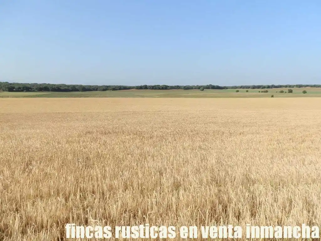 Terreno en venta en Alcaraz