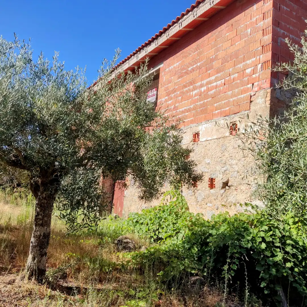 Terreni e lotti in vendita a Jarandilla de la Vera, imagen 9