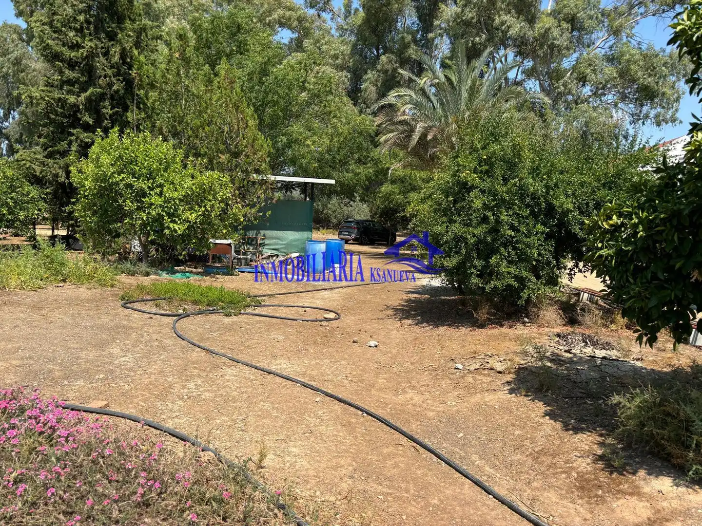 Garden of Country homes for sale in Córdoba