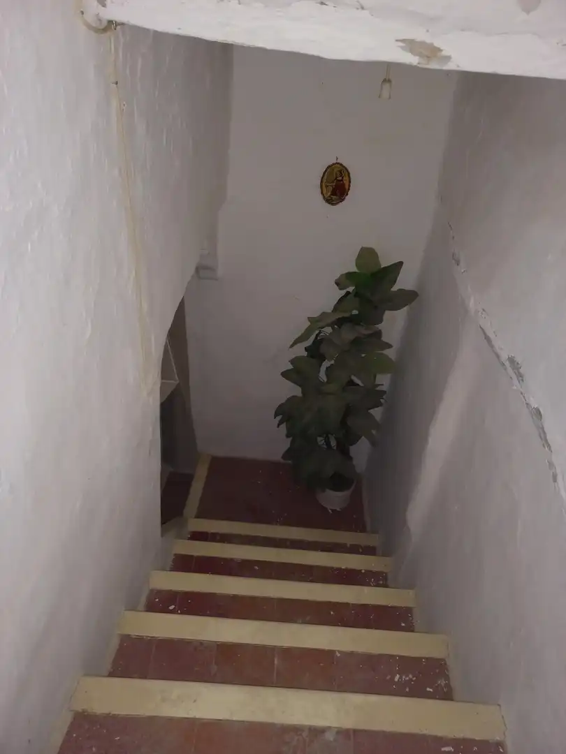 House with terrace for sale in Plaza Primero de Mayo, imagen 12