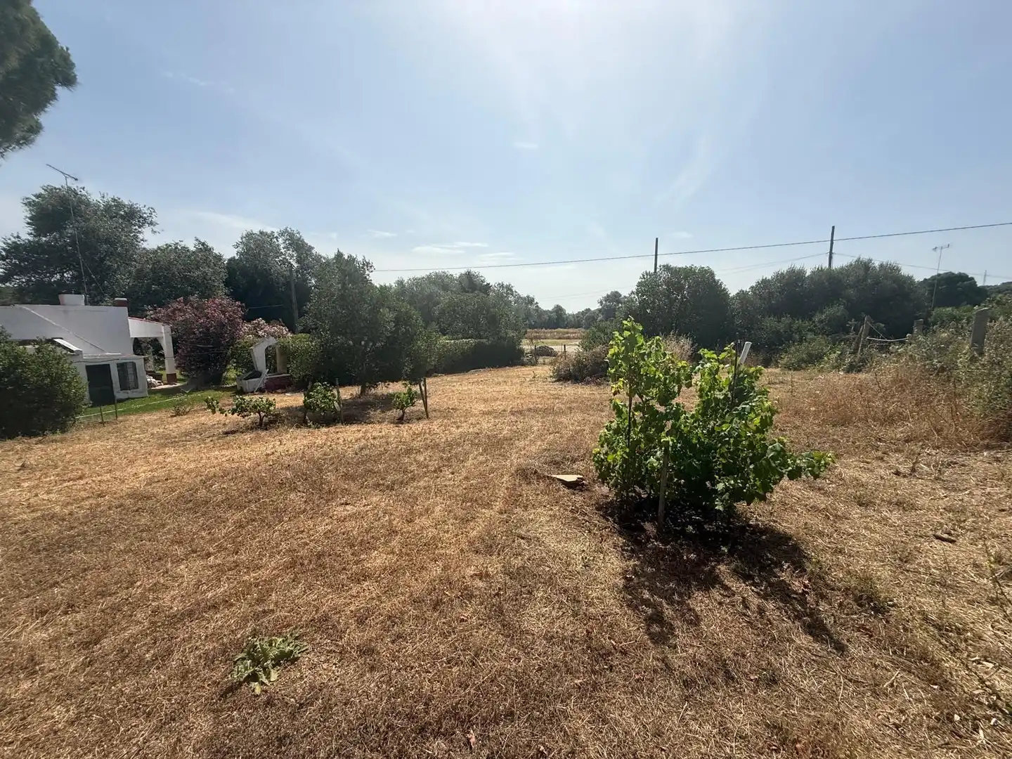 Casa o xalet en venda en Vejer de la Frontera amb Aire condicionat, Calefacció i Jardí privat
