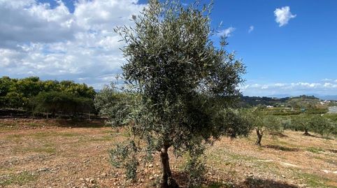 Foto 2 de Terreny en venda a Centro, Alhaurín El Grande