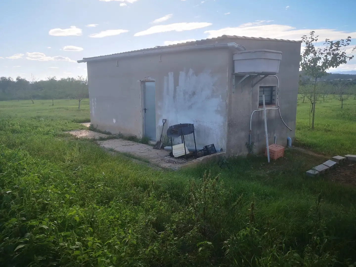 Terreno rustico in vendita a Ulldecona, imagen 24