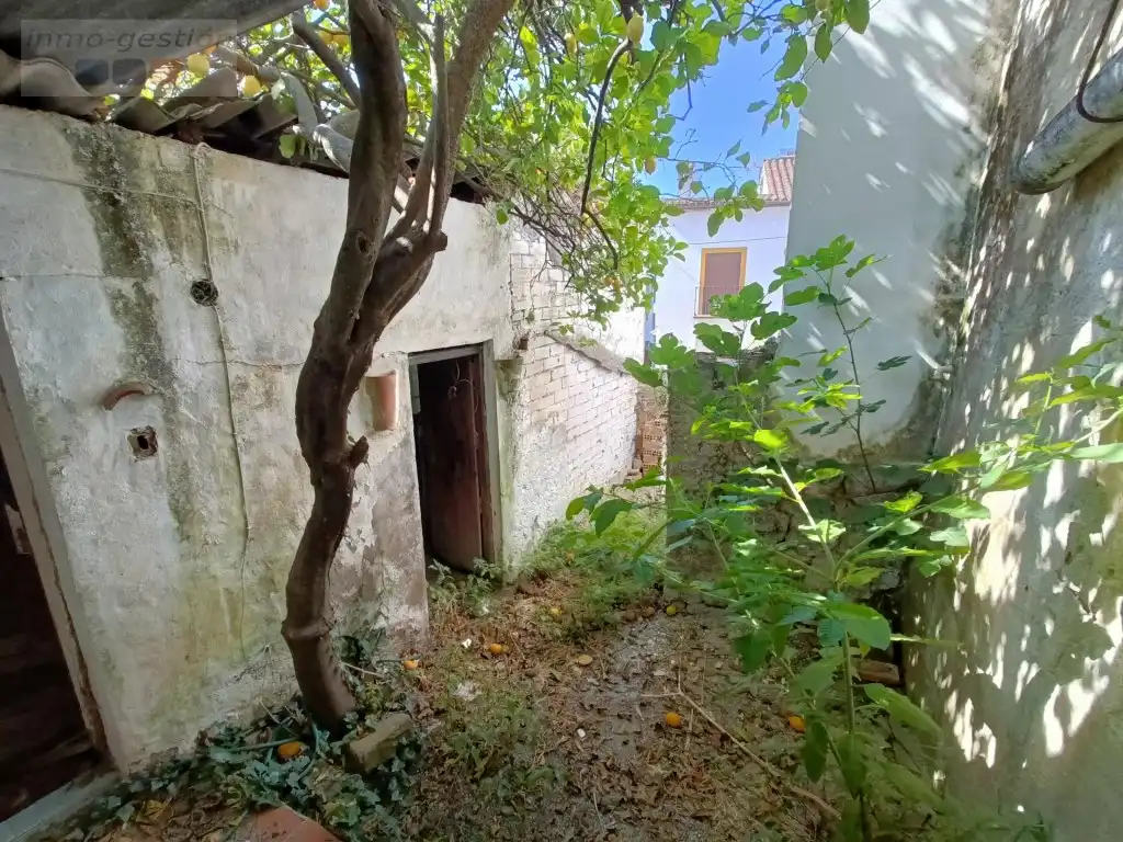 House for sale in Calle Piedras, imagen 13