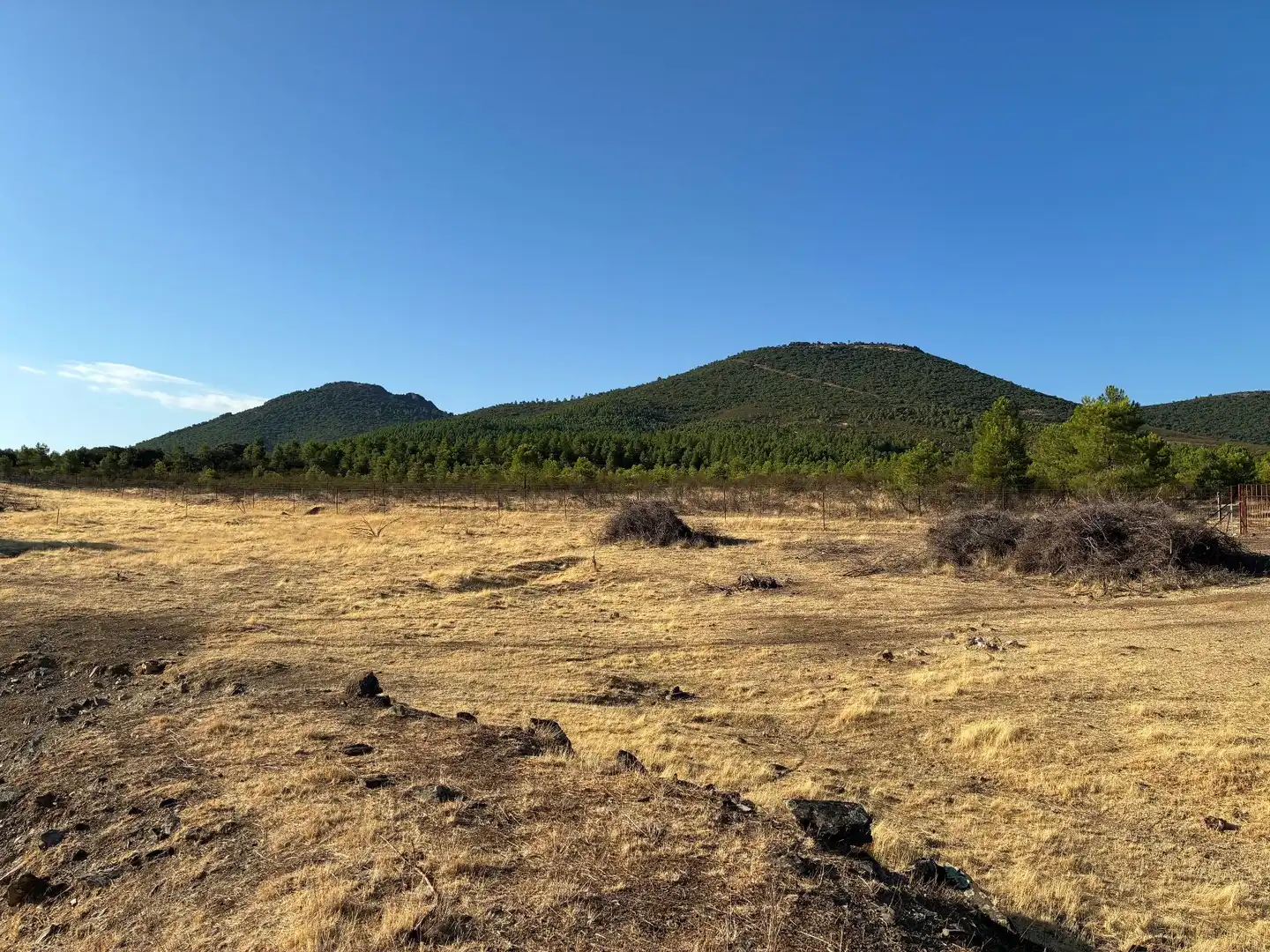 Rural land for sale in Puerto de San Vicente, imagen 6