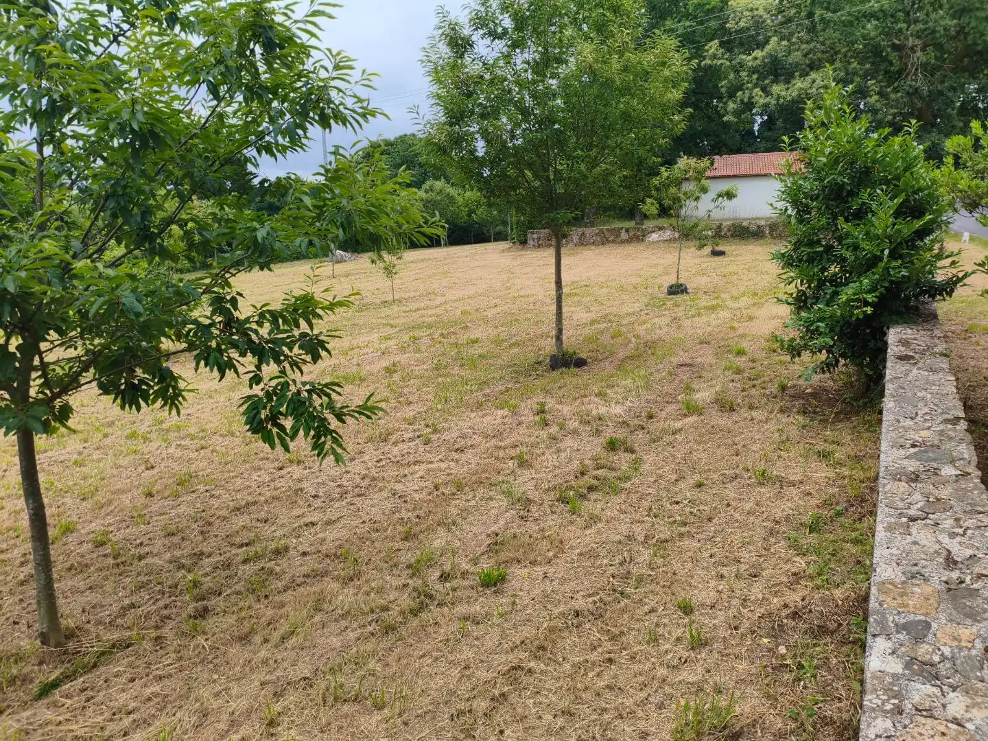 Residential for sale in Curtis