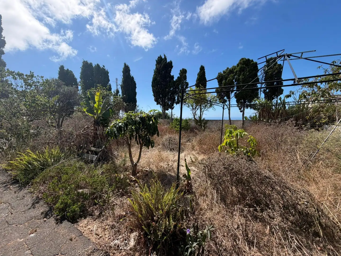 Chalet en venta en El Pris - Juan Fernández, imagen 31