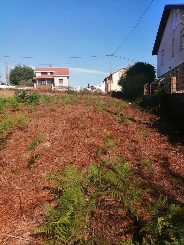 Residencial en venta en O Pereiro de Aguiar 