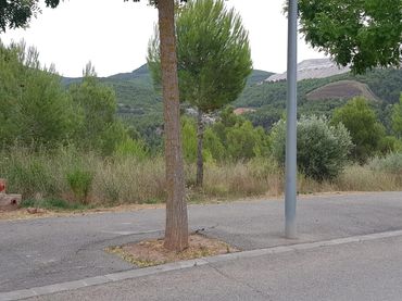 Terreno residenziale in vendita a Teresa De Calcuta