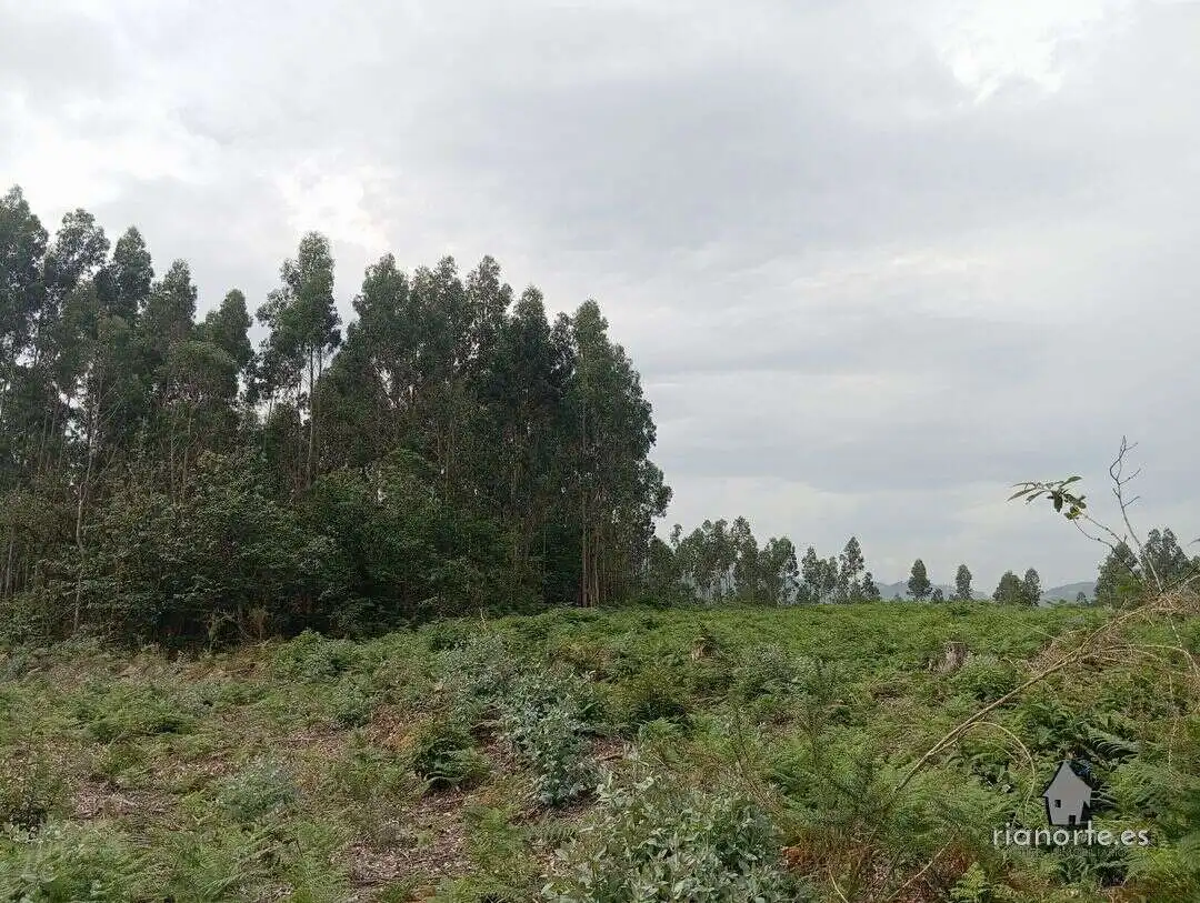 Terreno en venta en Castrillón
