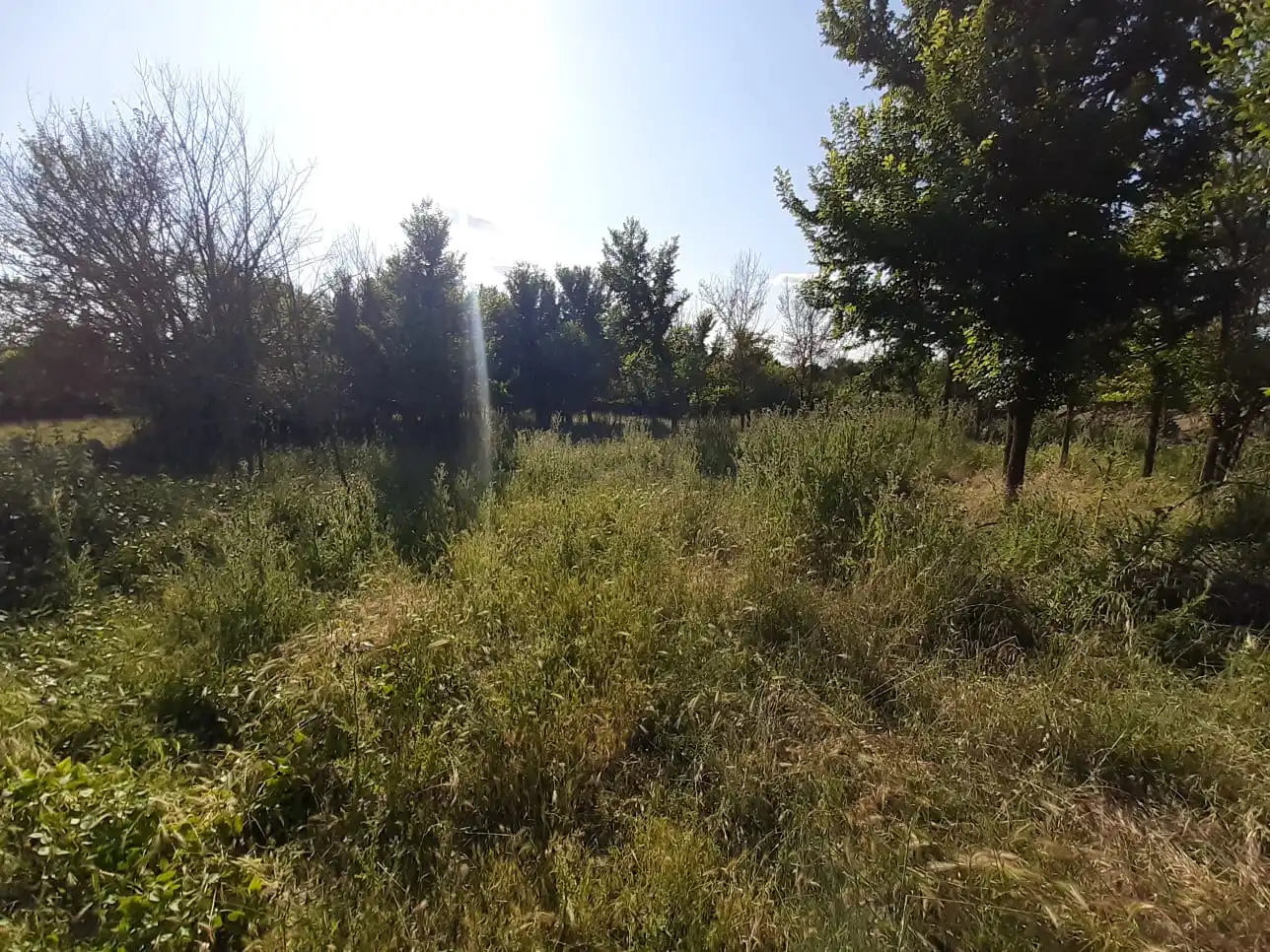 Local en venta en Pereruela