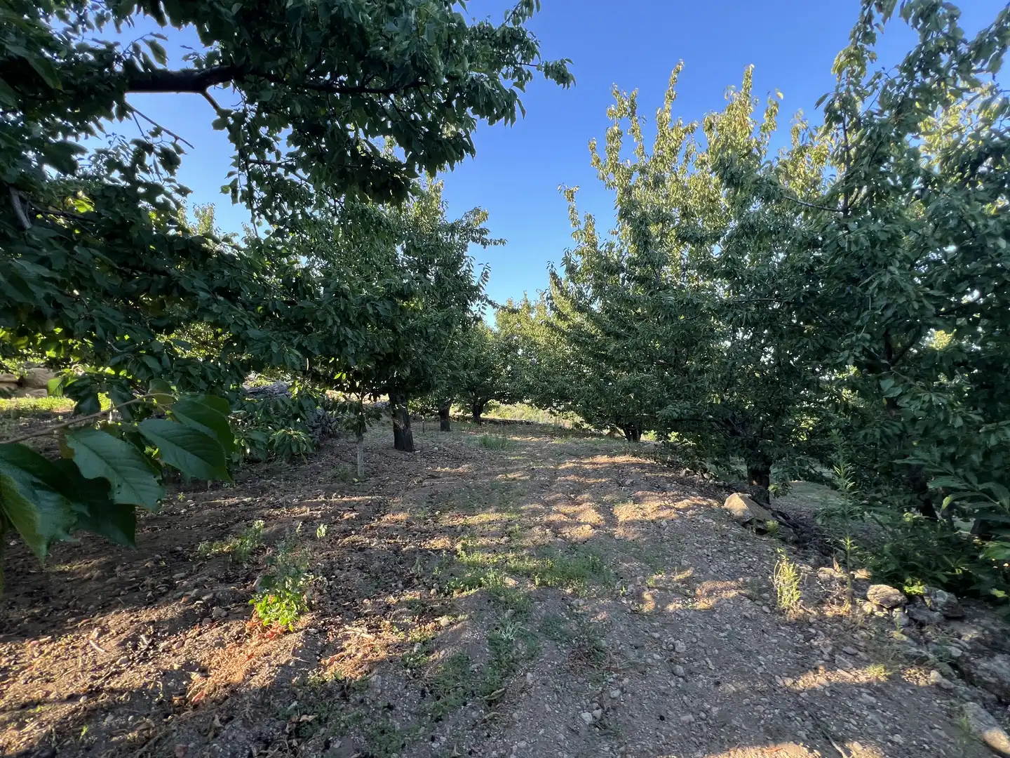 Terreni e lotti in vendita a Garganta la Olla, imagen 4