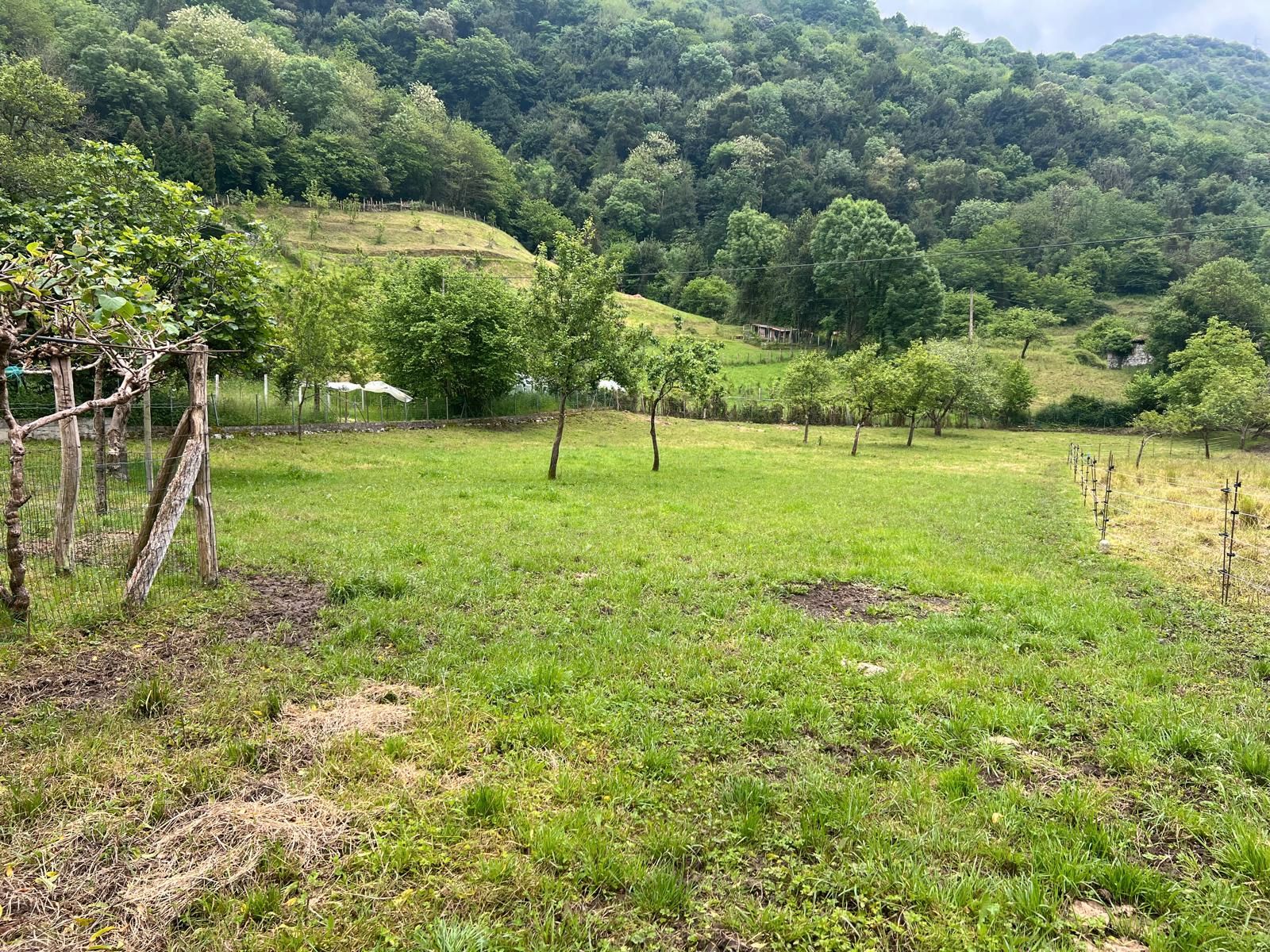 Grundstücke zum verkauf in Santo Adriano