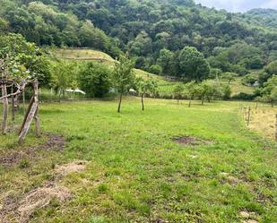 Land for sale in Santo Adriano