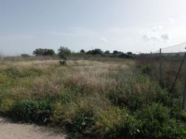 Terreno residencial en venta en Arcos de la Frontera
