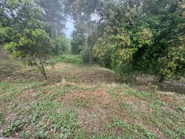 Terreno rústico en venta en Urbanització Collsacreu 135, imagen 2