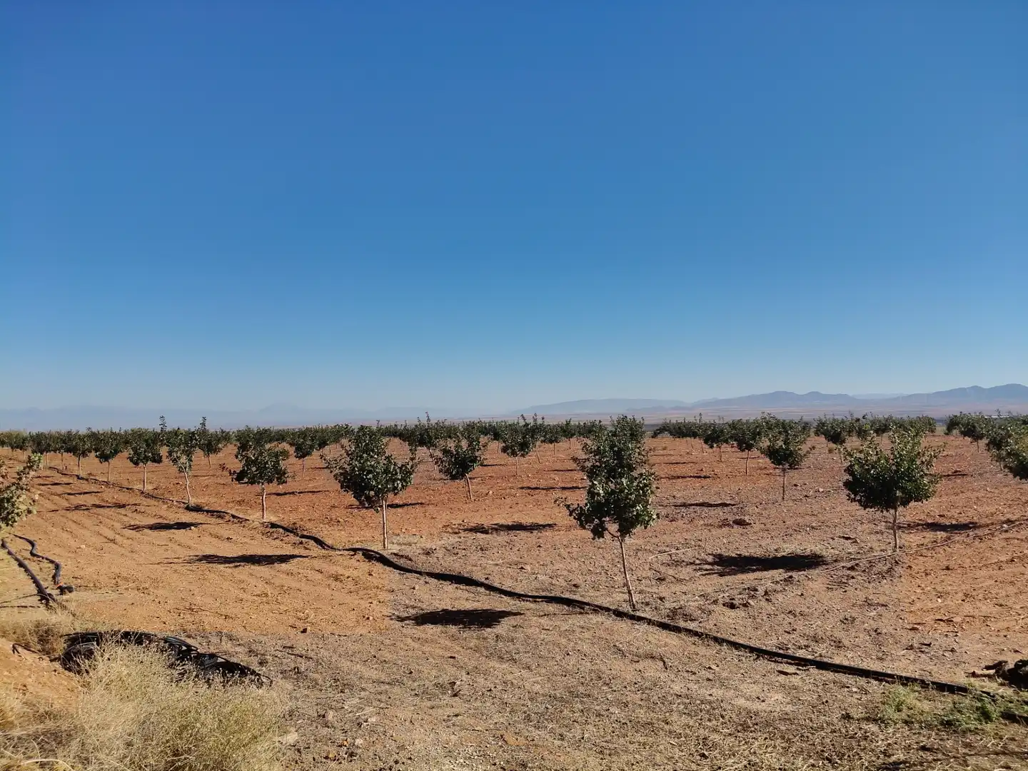 Terreno rustico in vendita a N/A, imagen 13