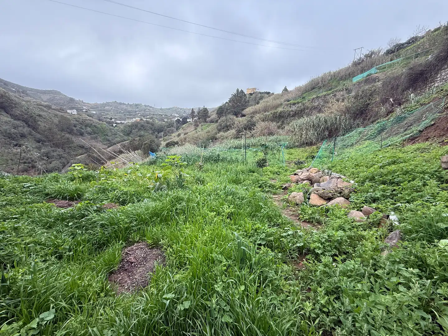 Finca rústica en venta en El Álamo - Arbejales