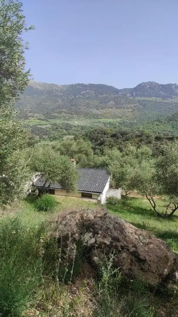 Finca rústica en venda en Cortes de la Frontera amb Jardí privat, Forn i Rentadora