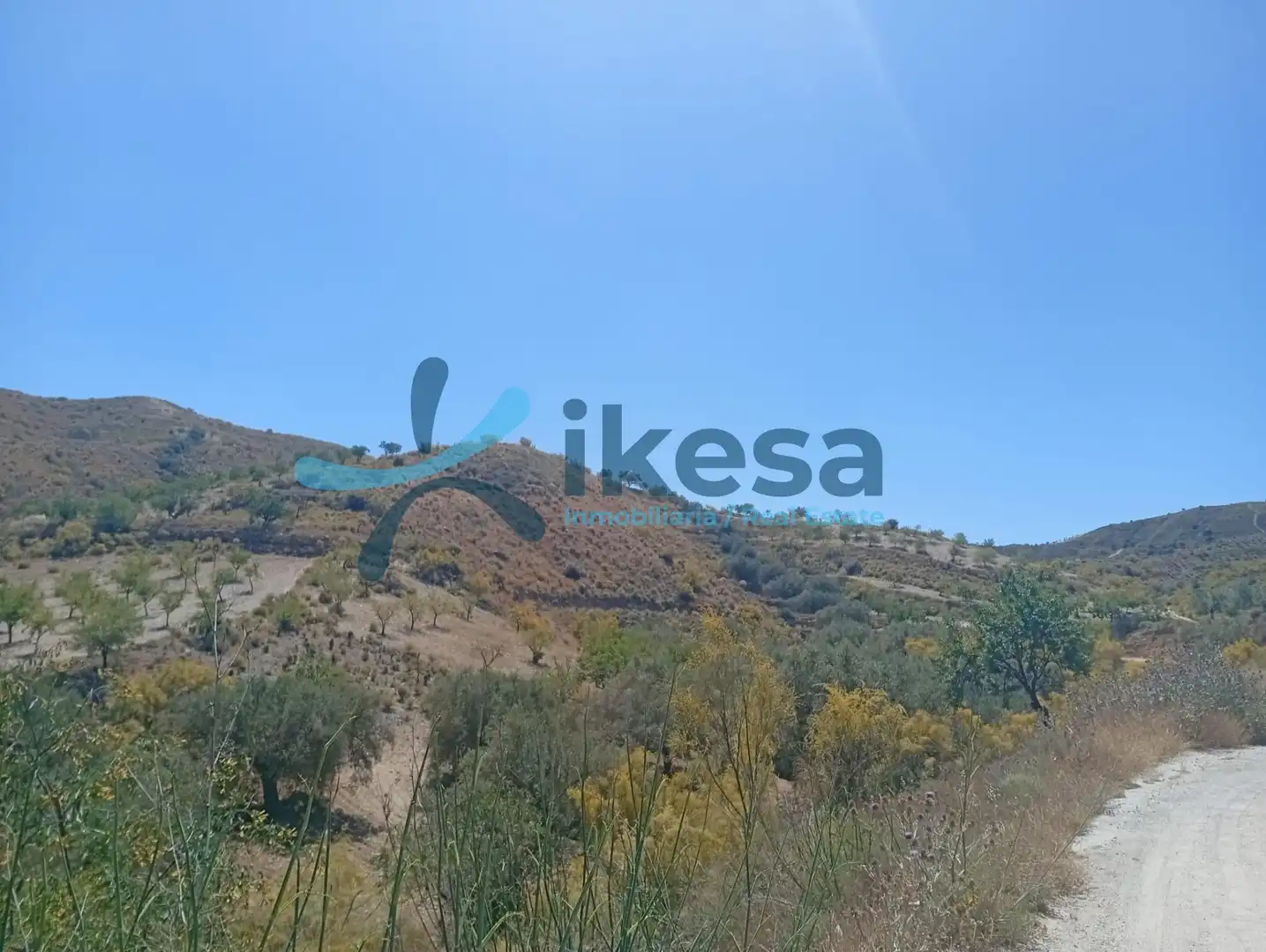 Lands and plots for sale in Cantoria, imagen 6