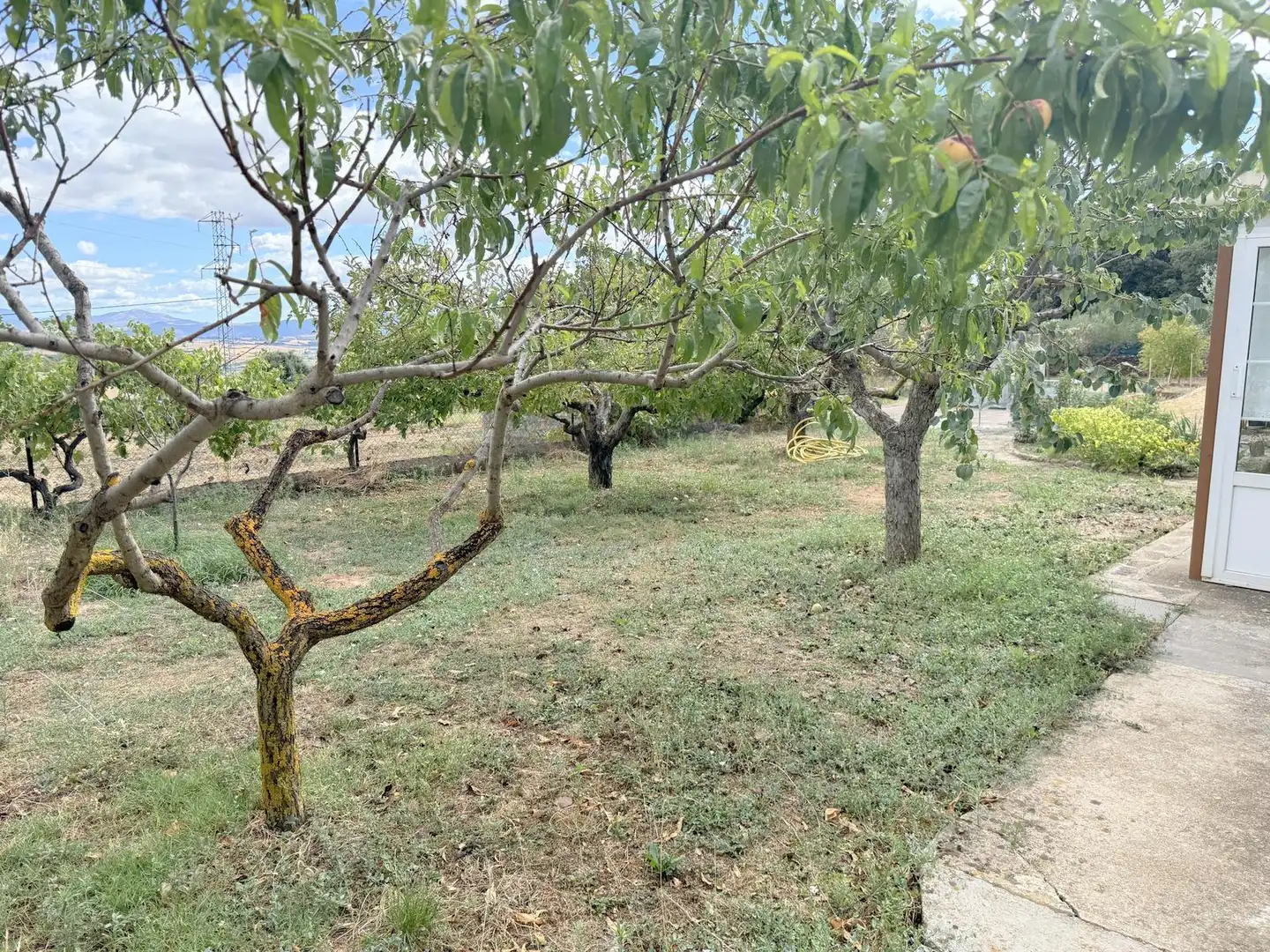 Finca rústica en venta en Ayegui / Aiegi con Jardín privado, Terraza y Trastero