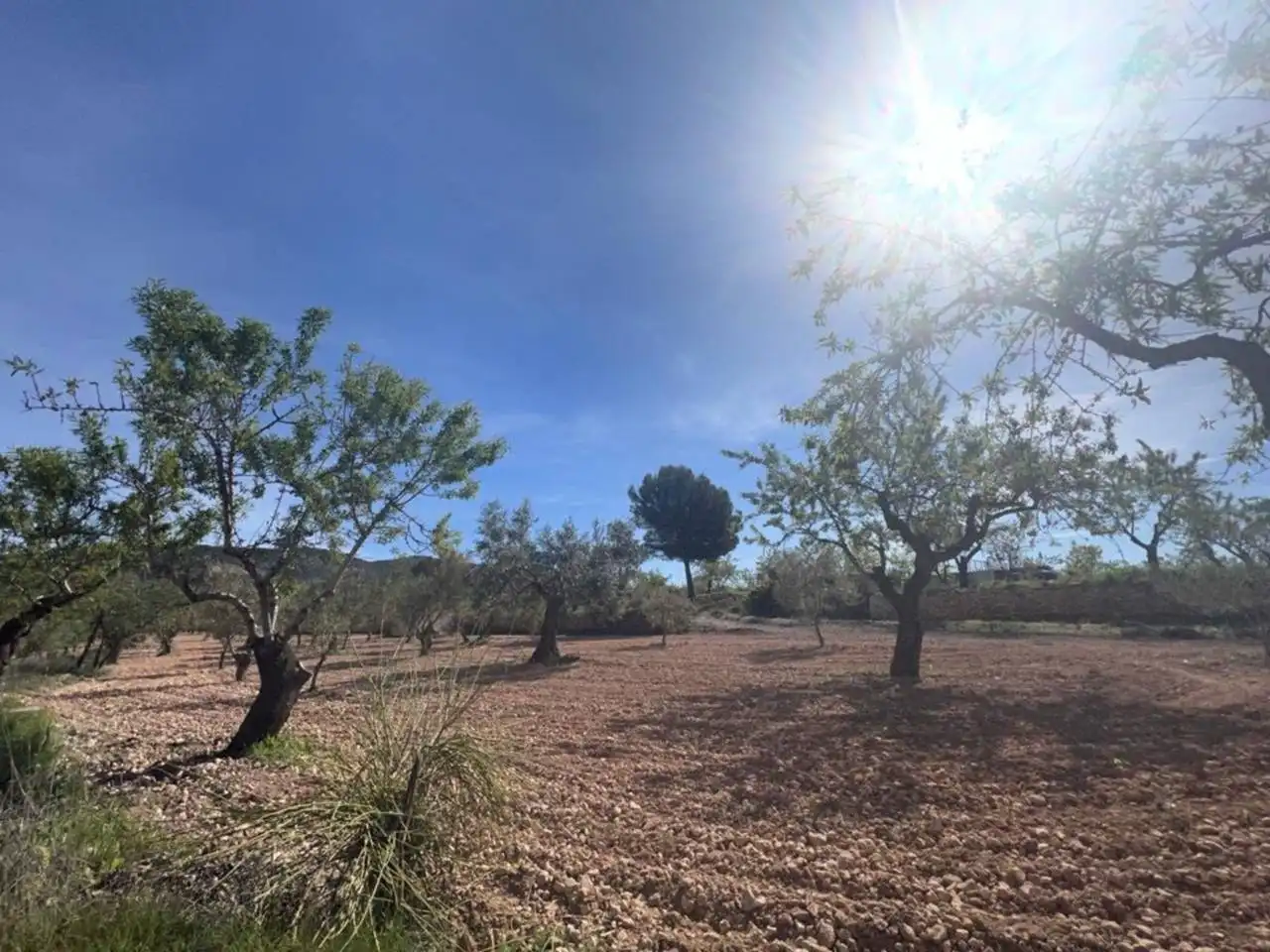 Chalet con jardín en venta en Calle Poligono, imagen 53