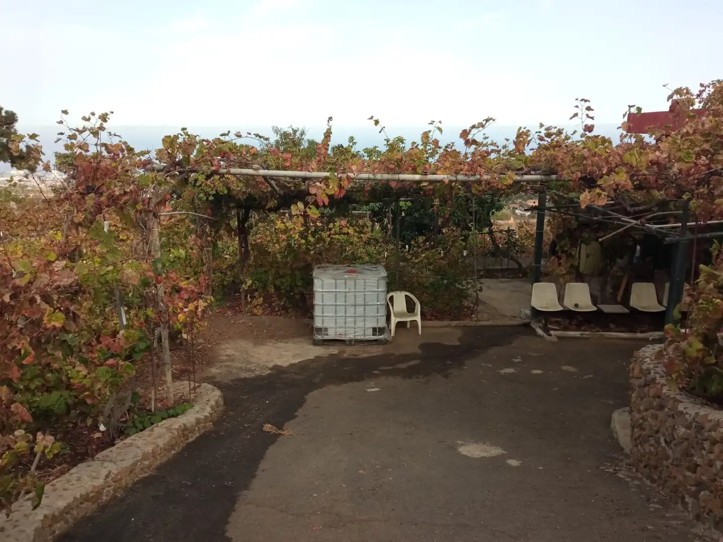 Terreno rustico in vendita a Las Cuevas - Los Gómez, imagen 9