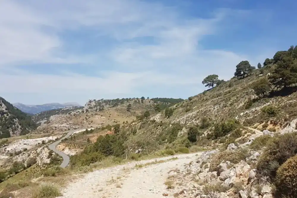 Terreno rústico en venta en Carretera Caravaca