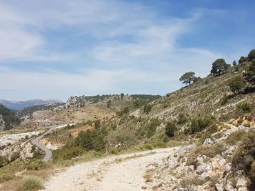 Terreno rustico in vendita a Carretera Caravaca