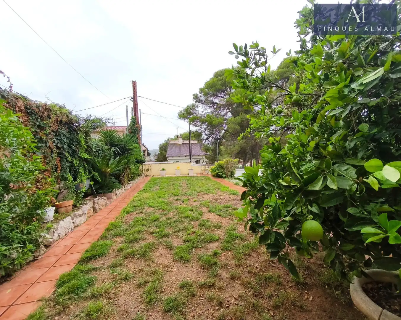 Casa con piscina en venta en Mas Trader - Corral d'En Tort - Corral d'En Cona, imagen 5
