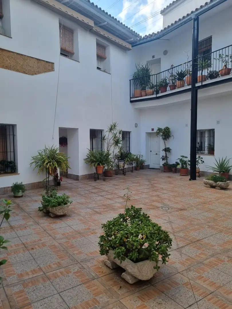Garden of Apartments for rent in Jerez de la Frontera  with Air Conditioner and Furnished
